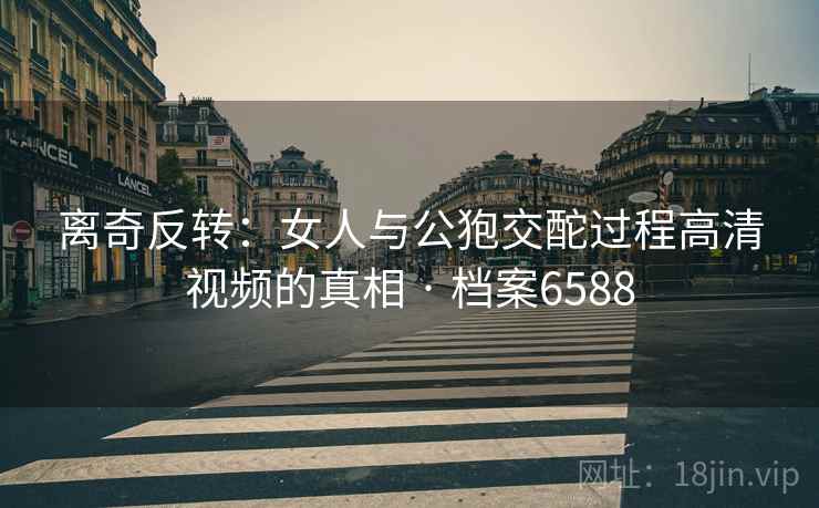 离奇反转：女人与公狍交酡过程高清视频的真相 · 档案6588