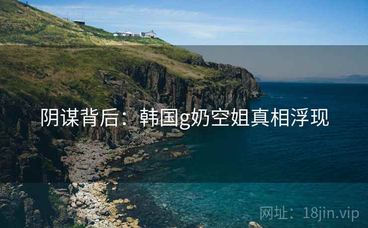 阴谋背后：韩国g奶空姐真相浮现