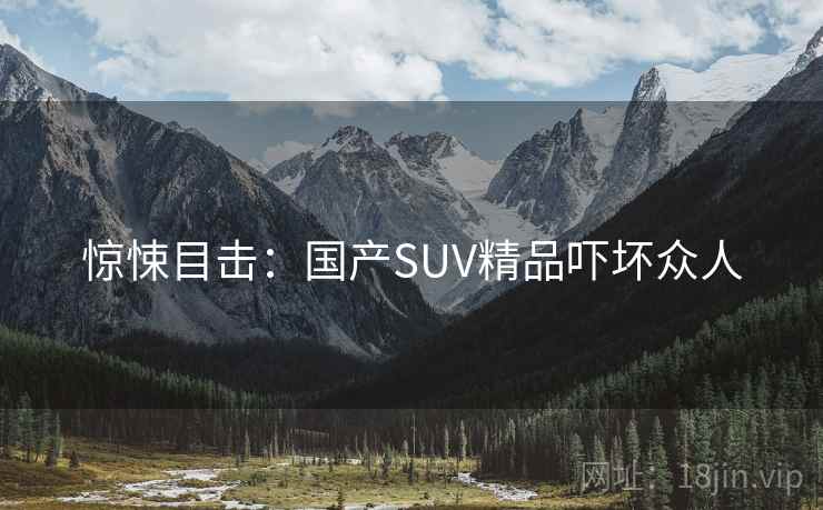 惊悚目击:国产SUV精品吓坏众人 惊悚目击:国产SUV精品吓坏众人
