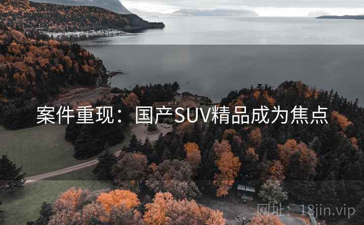 案件重现：国产SUV精品成为焦点